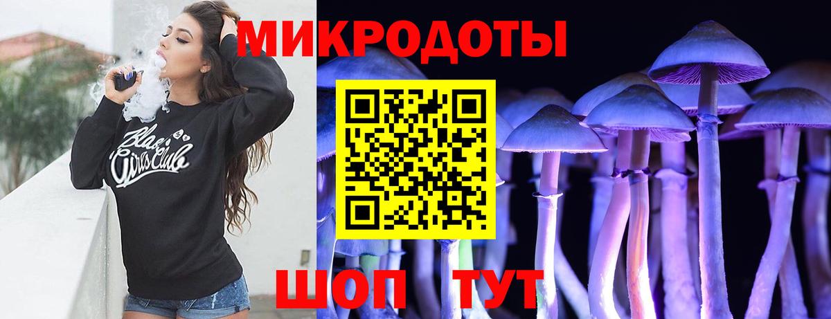 Псилоцибиновые грибы Cubensis Электросталь